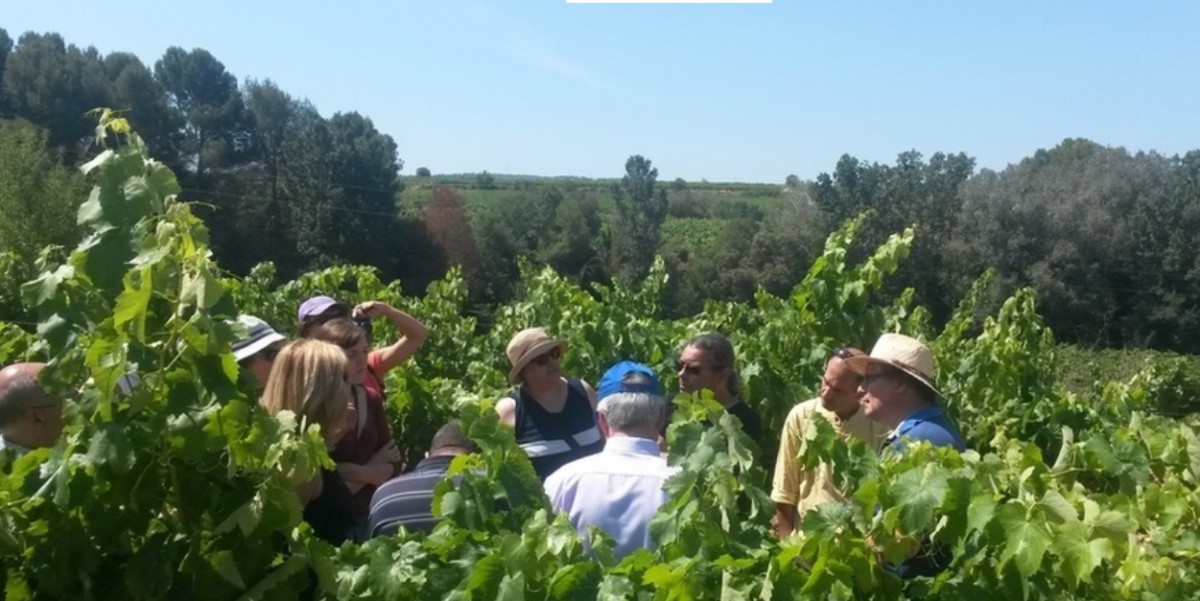 Imatge il·lustrativa