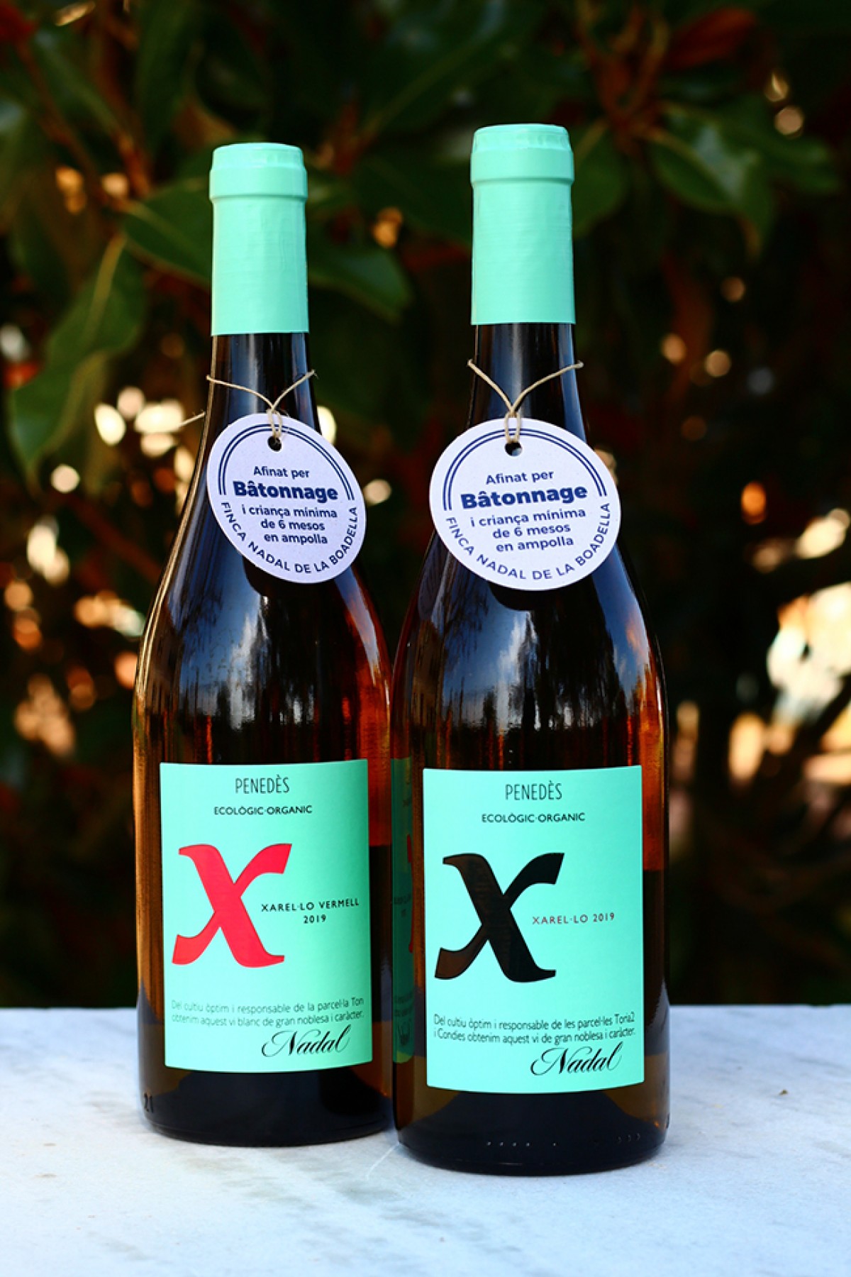 Imatge il·lustrativa