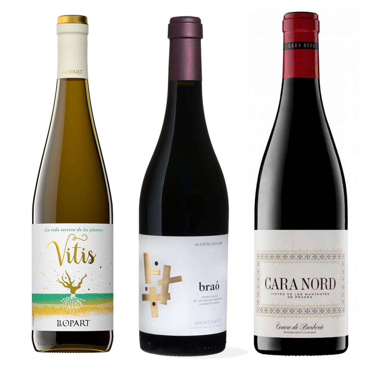 Imatge il·lustrativa