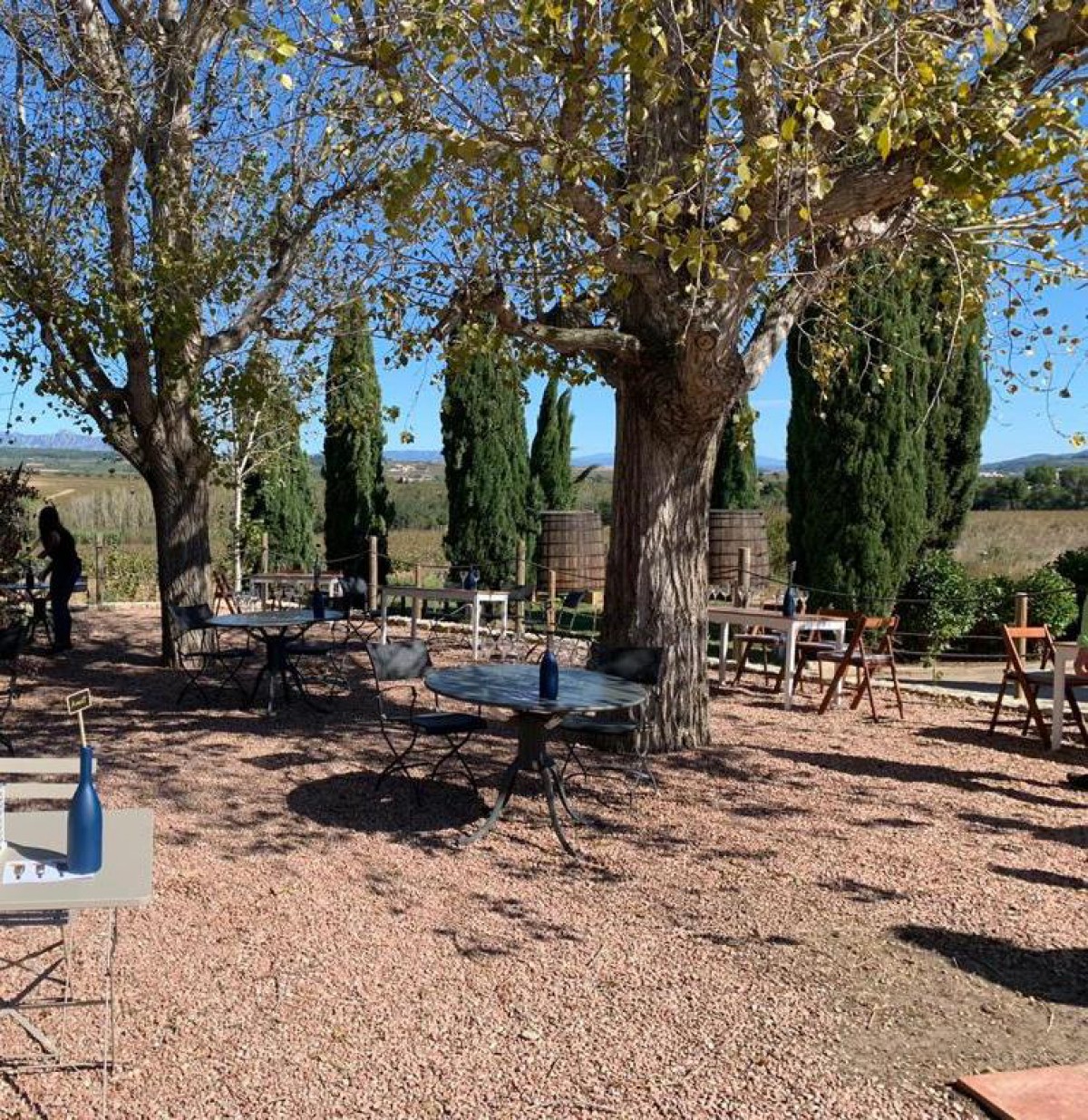 Imatge il·lustrativa