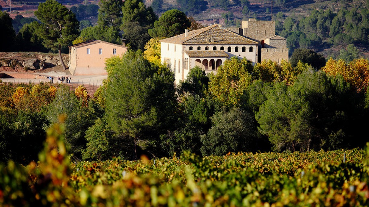 Imatge il·lustrativa