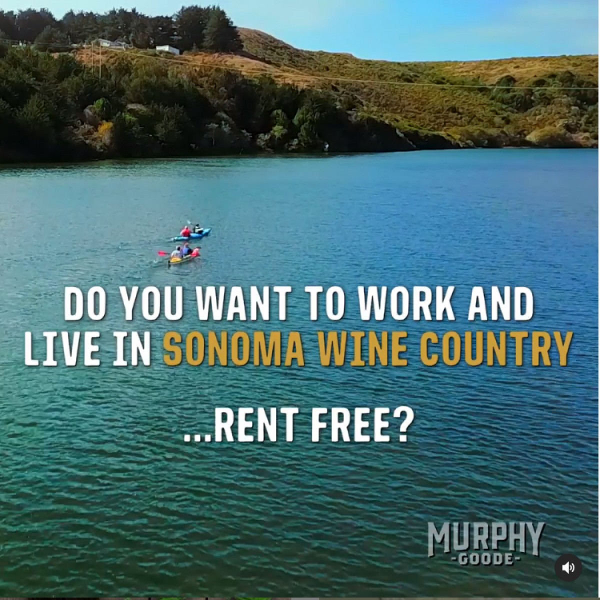 Murphy-Goode Wine ofereix 10.000 dòlars al mes i casa pagada durant un any