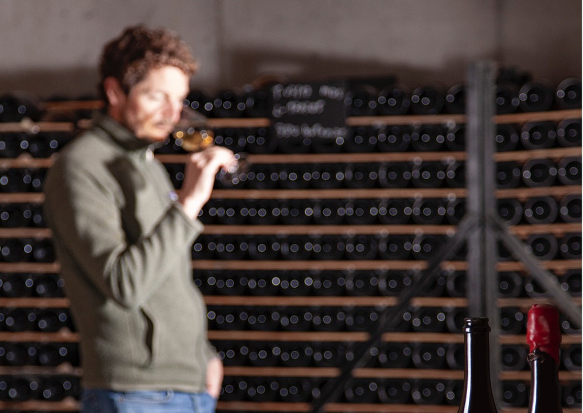 Imatge il·lustrativa