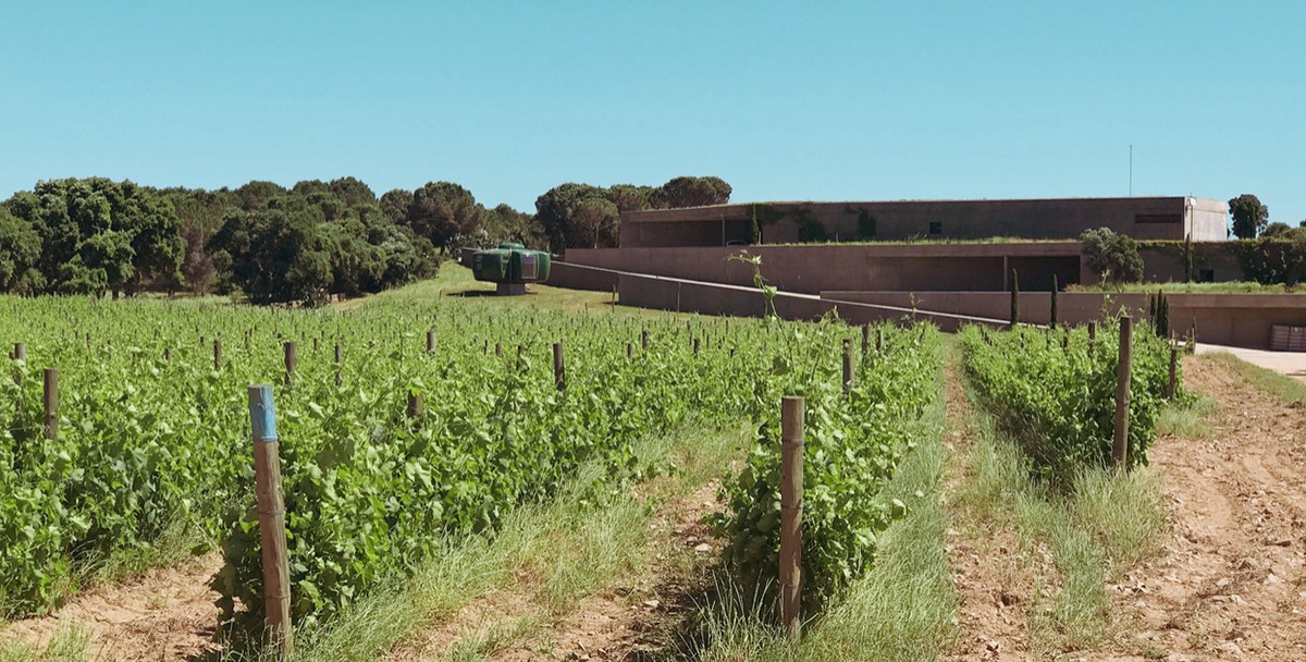 Imatge il·lustrativa