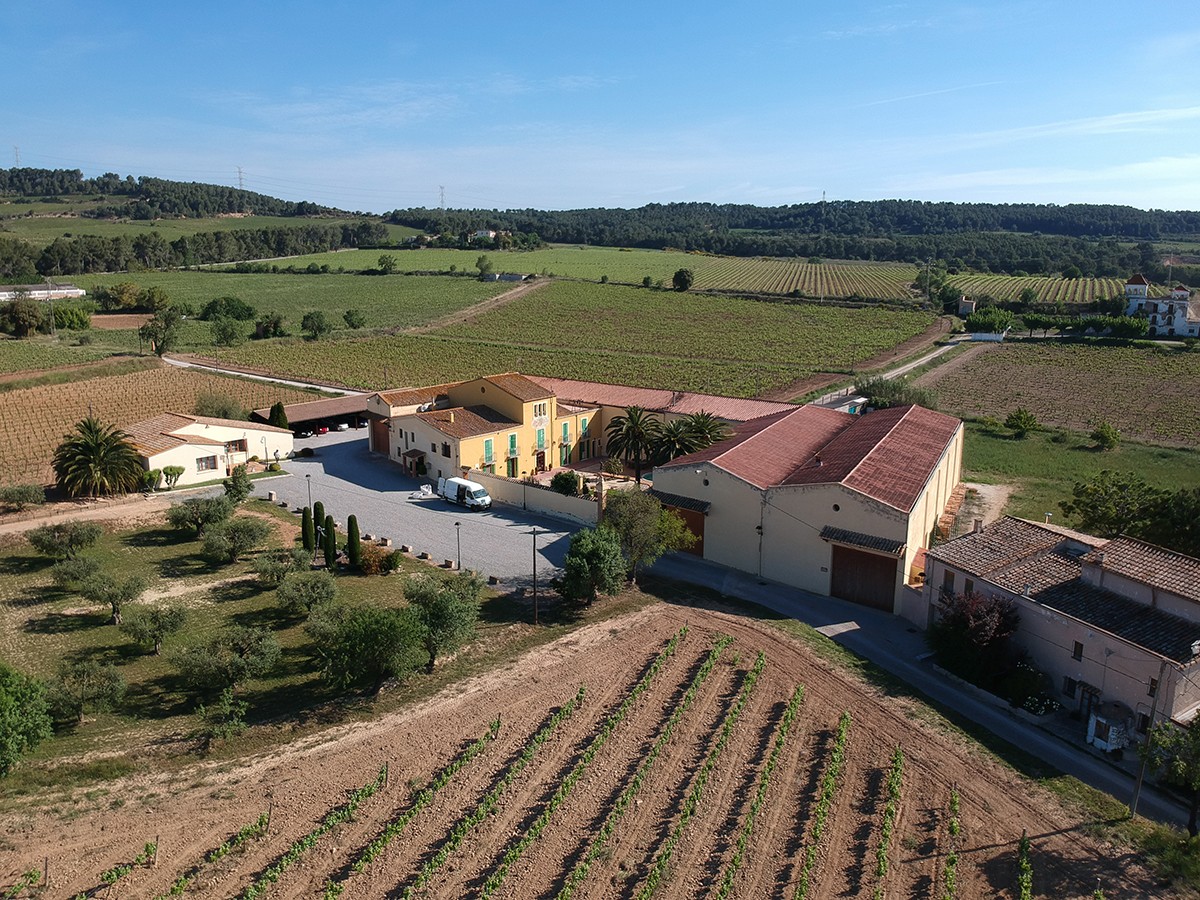 Imatge il·lustrativa