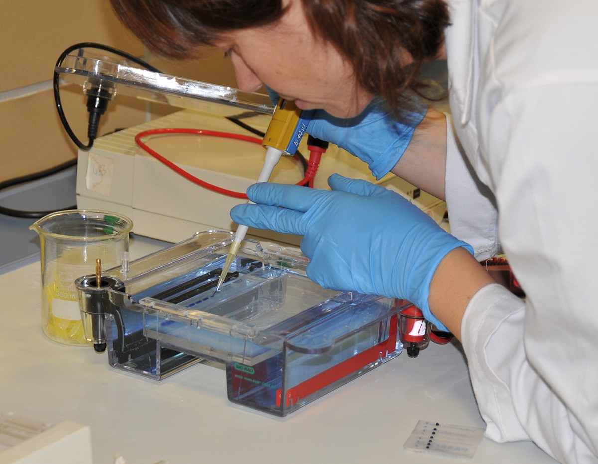 Imatge il·lustrativa