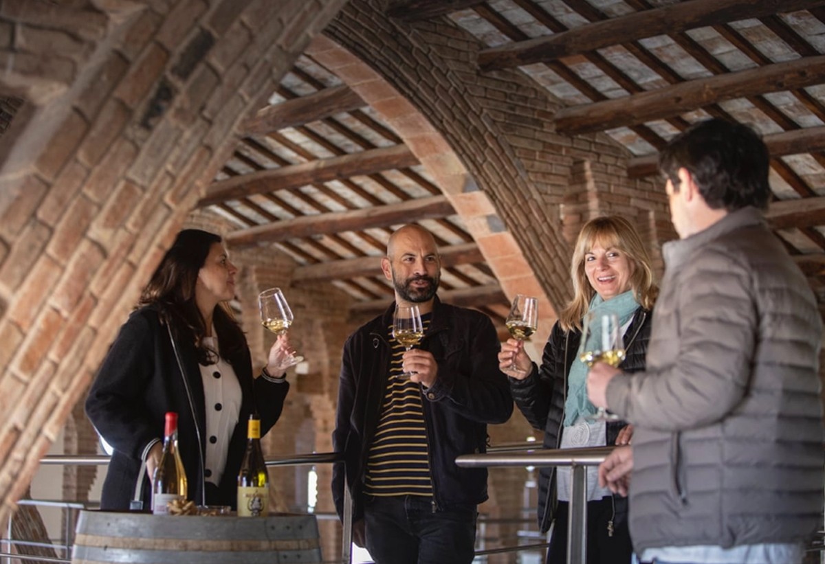 Enoturistes a la Catedral del vi de Nulles