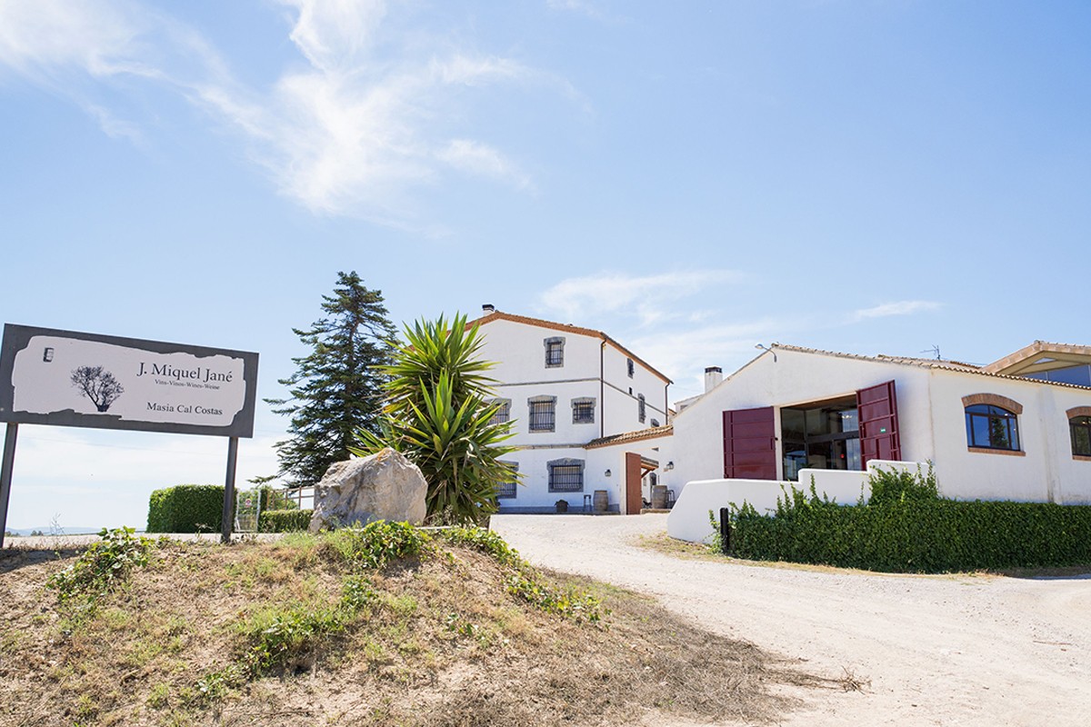 Una vintena de projectes vinícoles comparteixen coneixement a Cal Costas.