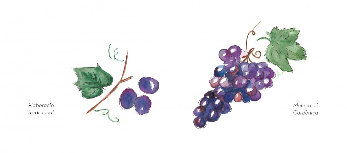 Il·lustració d'Estefanía Garcés