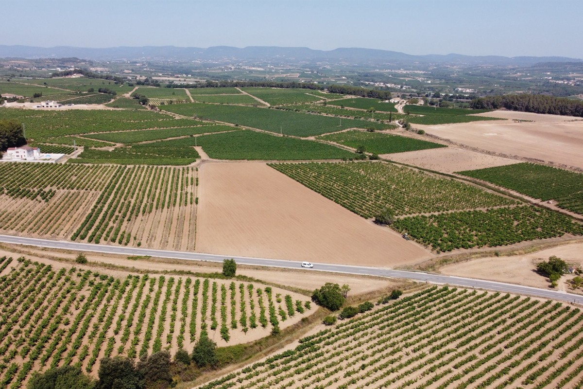 Imatge il·lustrativa