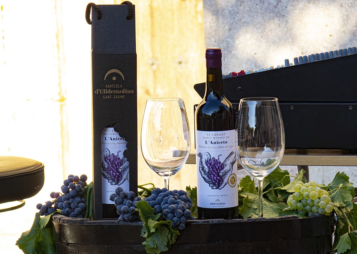 Imatge il·lustrativa