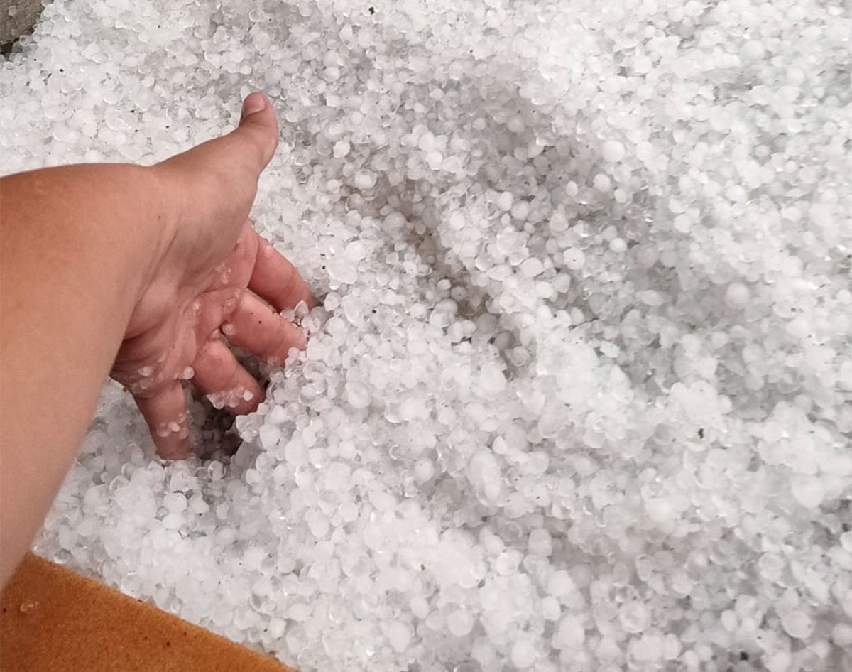 Imatge il·lustrativa