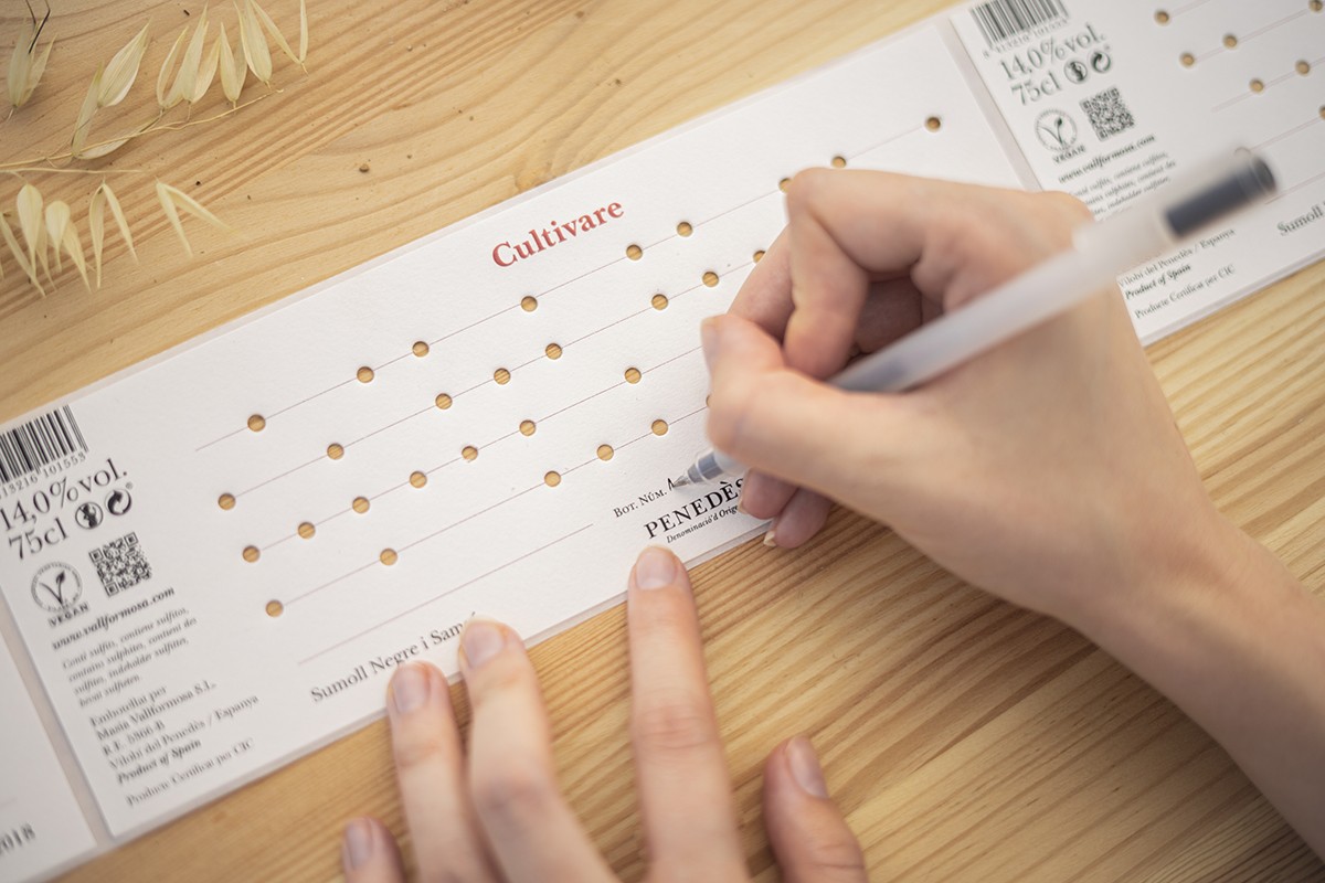 Imatge il·lustrativa