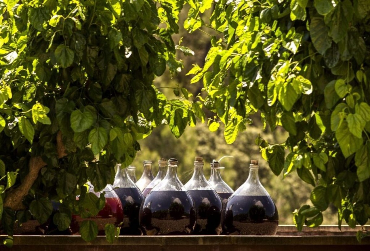 Una imatge del web del celler prioratí