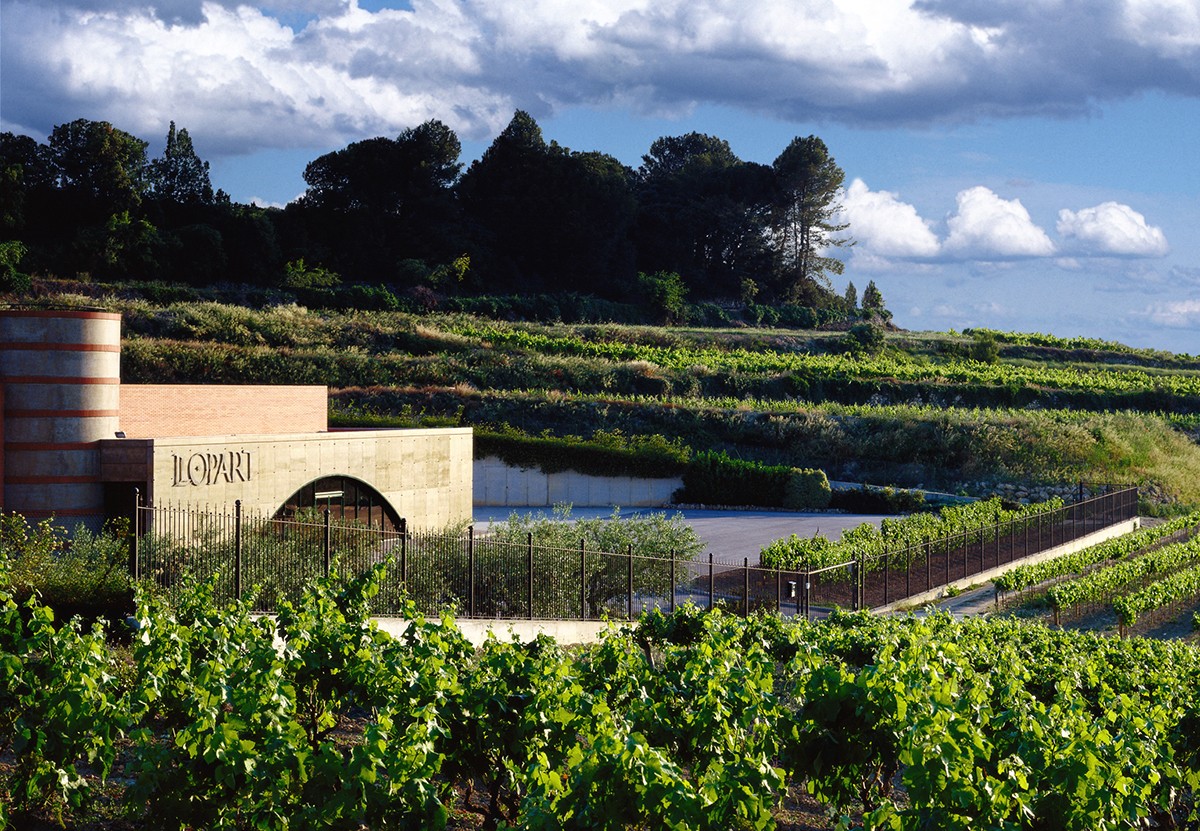 La finca i el celler Llopart, a Subirats, envoltada de vinya i bosc, exemple del seu arrelament al territori.