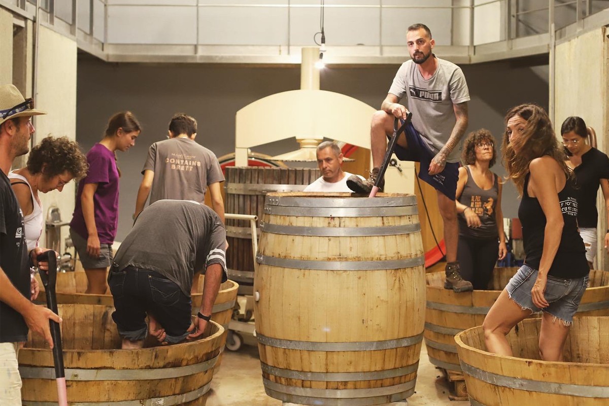 Imatge il·lustrativa