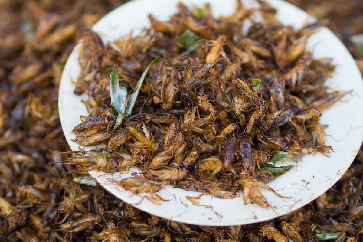 Grills domèstics preparats per ser consumits