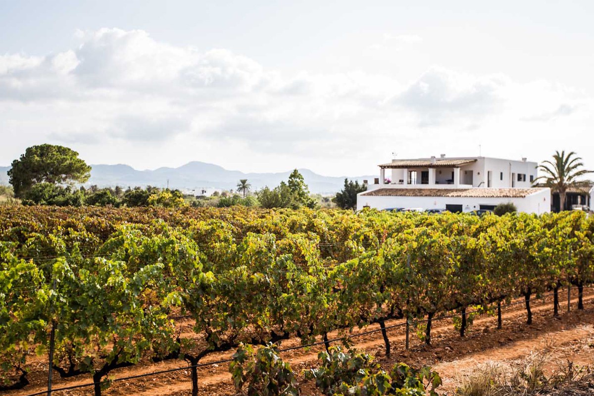 Imatge il·lustrativa