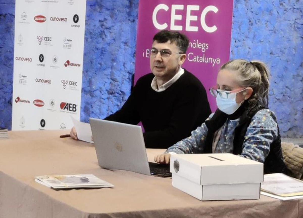 Imatge il·lustrativa