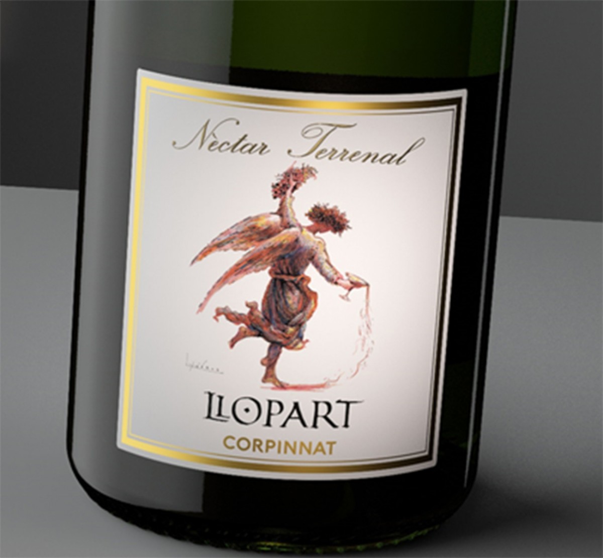 Imatge il·lustrativa