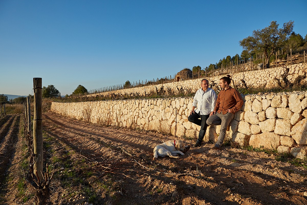 Josep Maria Albet i el seu fill, Martí, a la vinya del Fanio