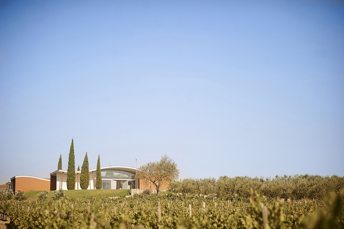 Imatge il·lustrativa