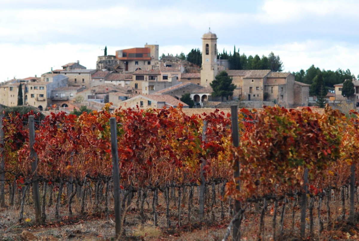 Imatge il·lustrativa