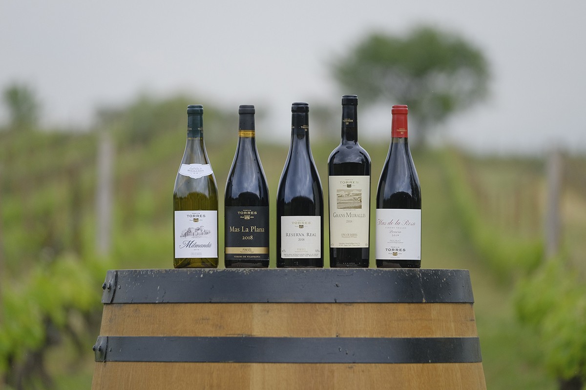 Imatge il·lustrativa