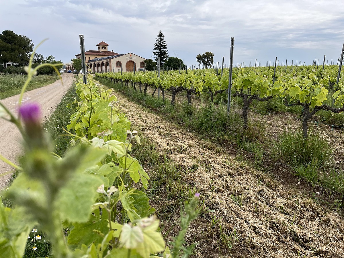 Imatge il·lustrativa