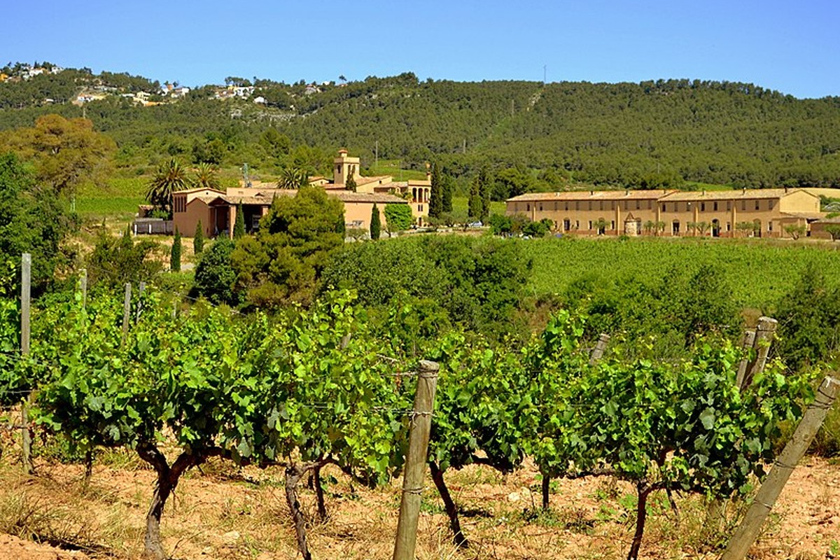 Imatge il·lustrativa