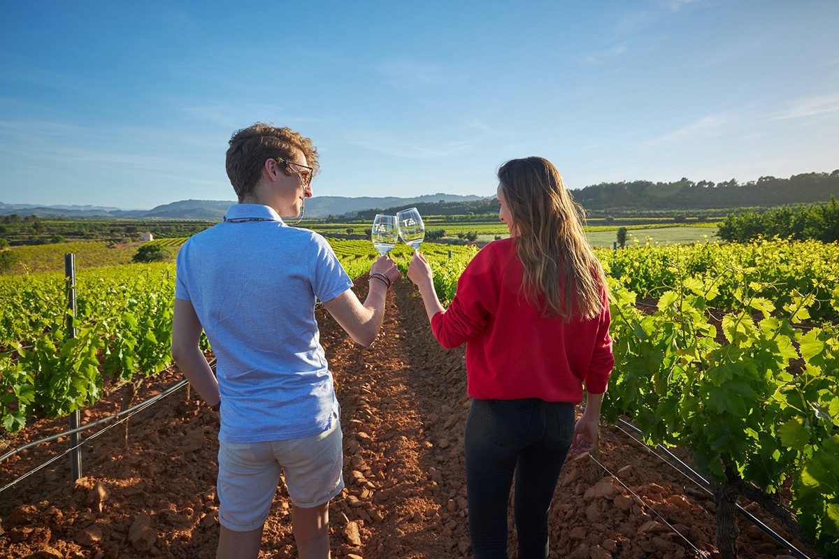 Un brindis entre vinyes de la Terra Alta