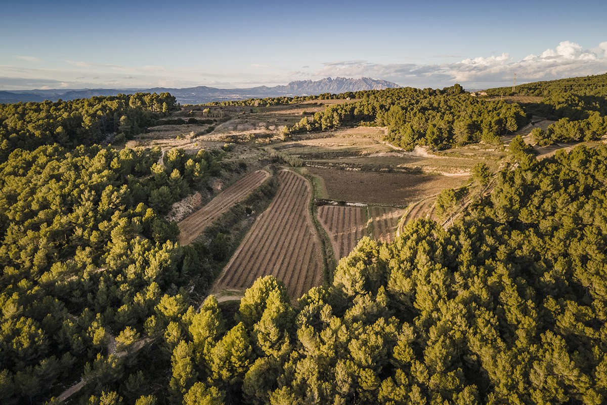 Imatge il·lustrativa