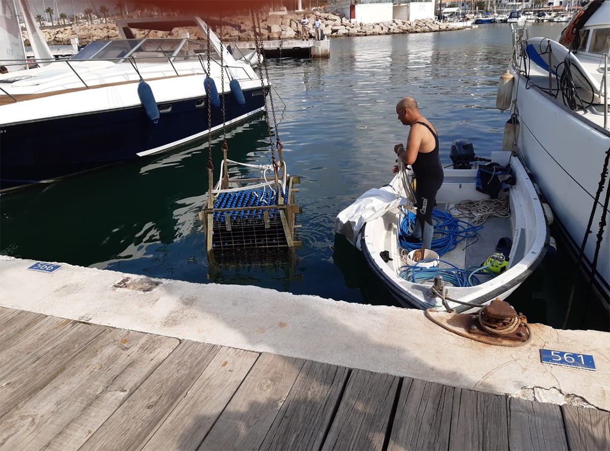 Imatge il·lustrativa