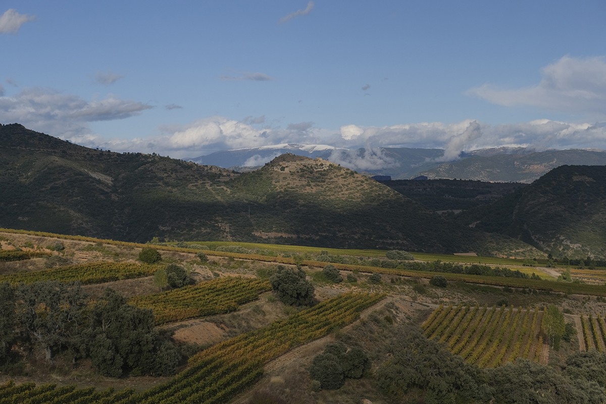 Imatge il·lustrativa