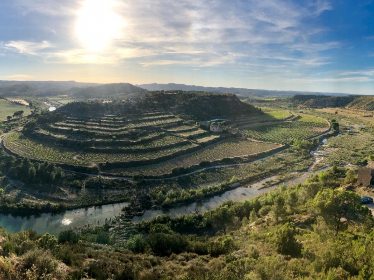 Imatge il·lustrativa