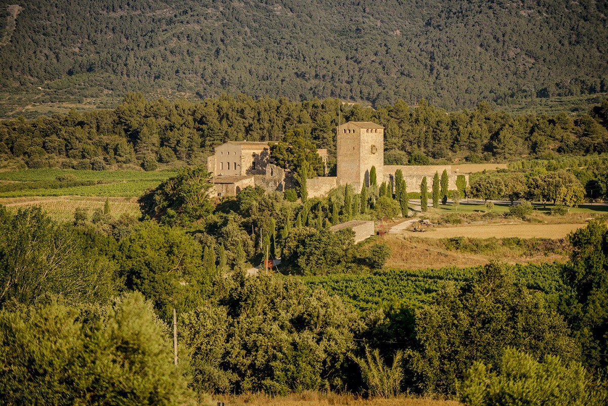 Imatge il·lustrativa