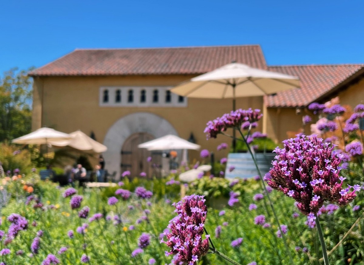 Imatge il·lustrativa