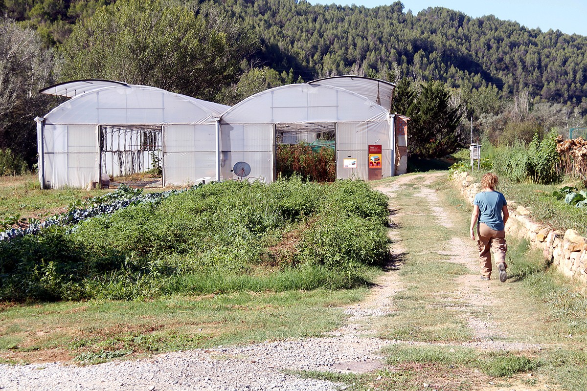 Una dona a l'Escola Agrària de Manresa