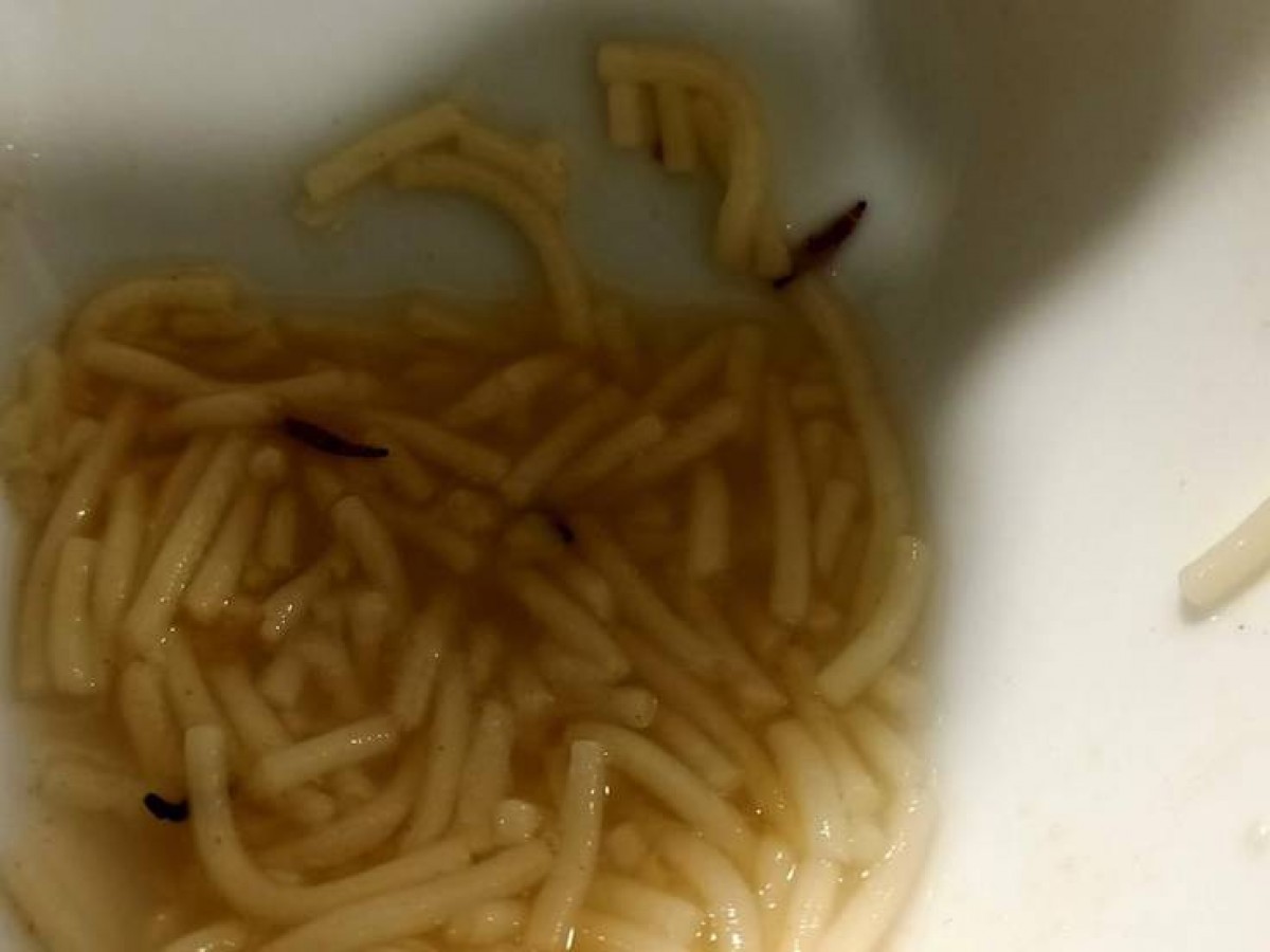 El plat de sopa amb larves negres de cuc