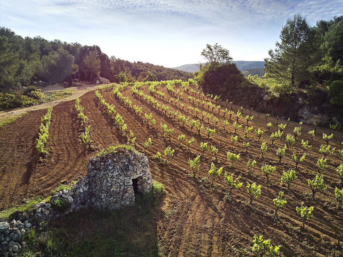 Imatge il·lustrativa