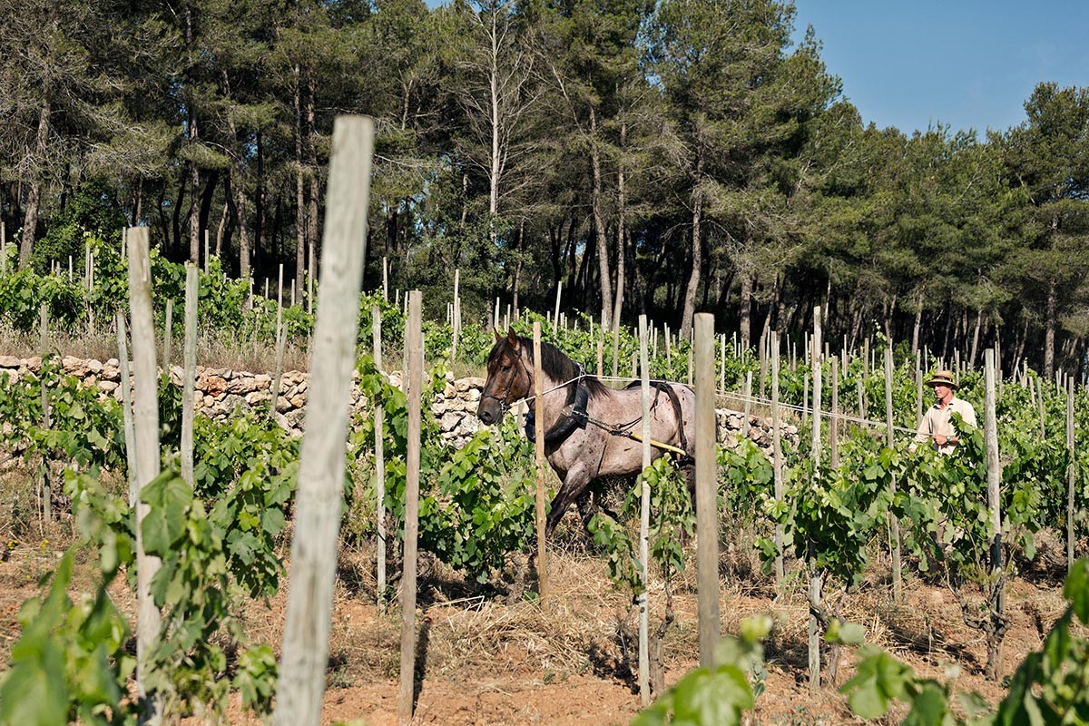 Imatge il·lustrativa