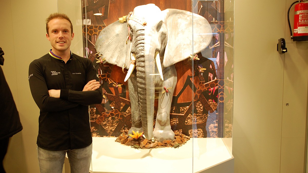 Lluc Crusellas al costat de l'elefant de xocolata que s'exposa a El Carme Pastisseria de Vic.