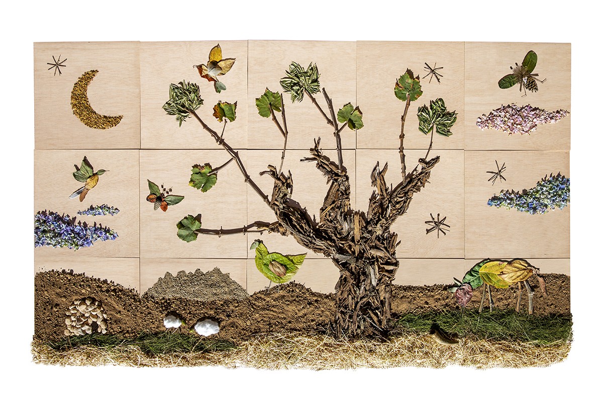 Imatge il·lustrativa