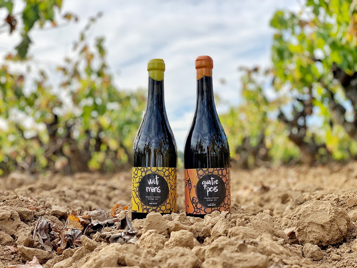 Imatge il·lustrativa