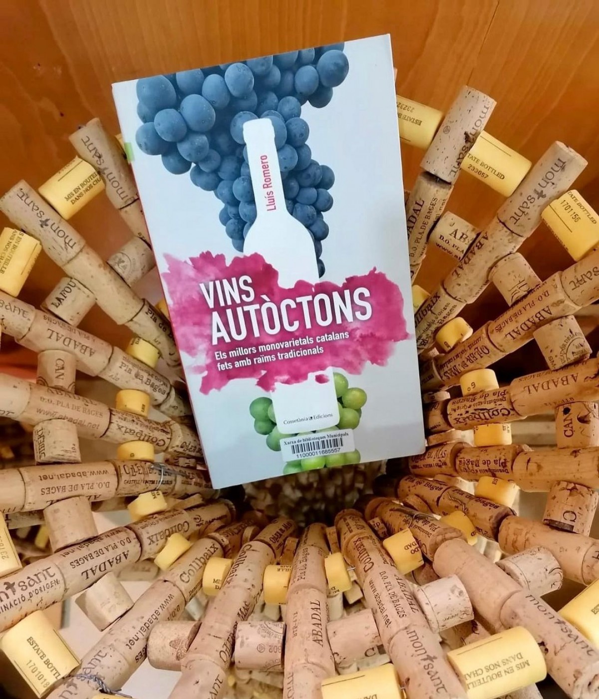 Imatge il·lustrativa