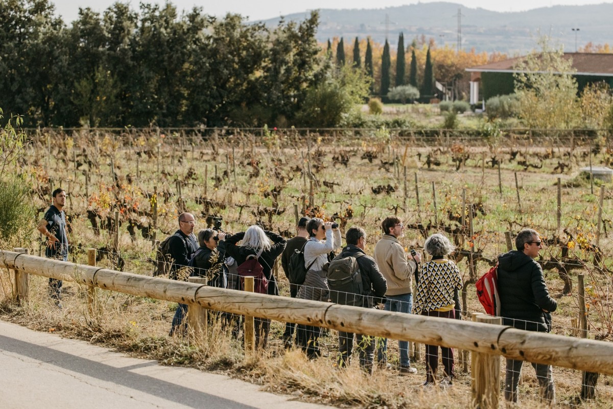 Imatge il·lustrativa