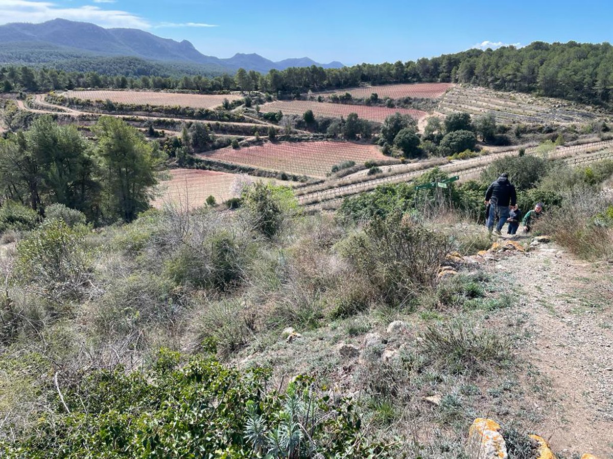 Imatge il·lustrativa