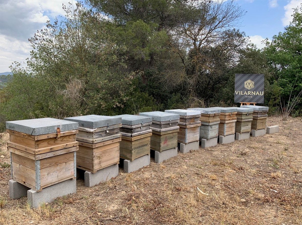 Imatge il·lustrativa