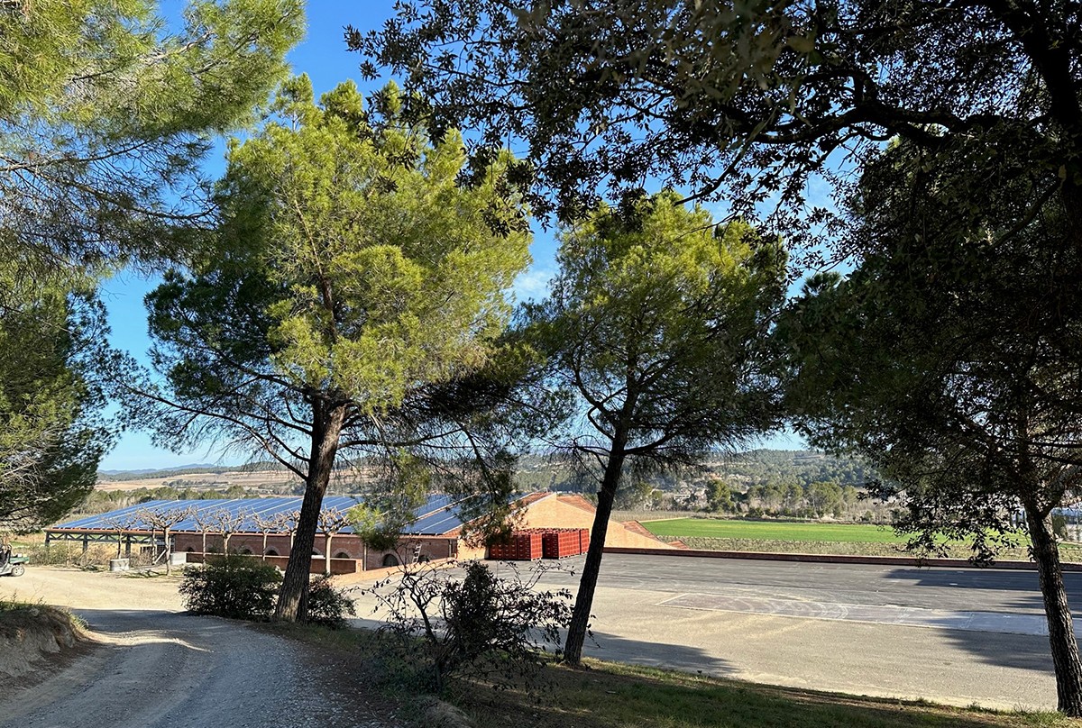 Imatge il·lustrativa