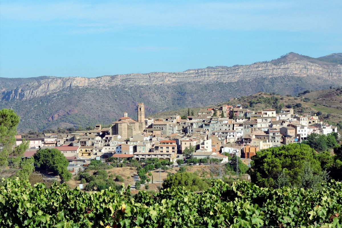 Imatge il·lustrativa